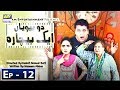 Watch Do Biwiyan Ek Bechara Episode 12 - 10th November 2018 - ARY Digital Drama Online In Hd