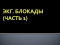 ЭКГ. Блокады (часть 1). Максимцева Е. А.