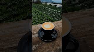 Ngopi Mase Coffee Time