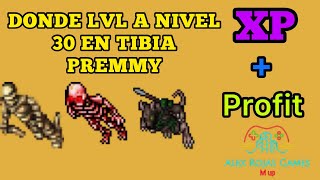 Where to Level 30? | All Vocations | Edron and Kazordoon | Premium Account | Tibia