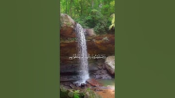 سورة آل عمرآن #الشيخ_ياسر_الدوسري #قرآن #راحة_نفسية #كرومات #قرآن #راحة_نفسية #الحج #عرفه #لايك