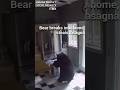 Sneaky black bear breaks into home to steal frozen lasagna #shorts