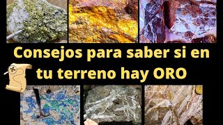 8 Consejos para saber si en tu terreno o finca hay un depósito de oro escondido bajo el suelo