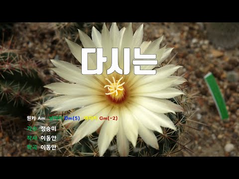 [은성 반주기] 다시는 - 정승미
