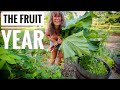 EPIC Fruit Harvest COMING SOON | Mini Farm Tour