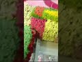 #श्री श्याम बाबा दरबार live दर्शन #trending श्याम#खाटू श्याम #हारेकासहारा 🙏