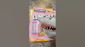 SHARK PUPPET GETS LUNCHLY!