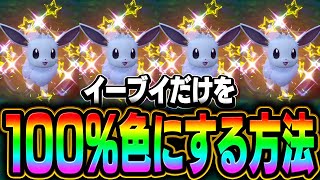 【最新版】この場所がヤバい！誰でも簡単にイーブイの色違いを乱獲できてしまう厳選方法を紹介します【ポケモンスカーレット・バイオレット】