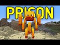 Can You Escape This BLAZE Minecraft Prison?