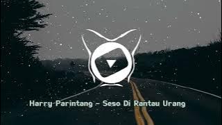 Harry Parintang - Seso Di Rantau Urang VK Channel