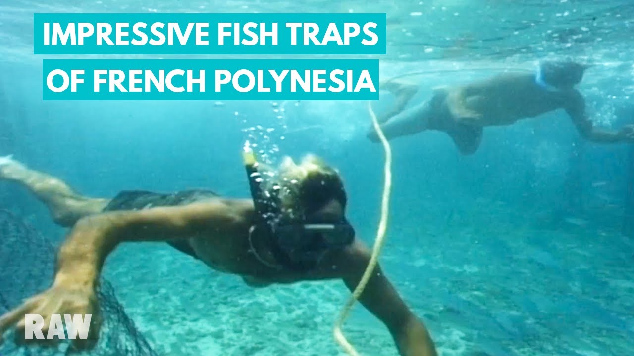 Documentary backdrop image for A day in the life of Polynesian fishermen: from the ocean to the market in Tahiti (2022)