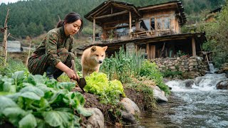 Beautiful Girl Living in the Forest - Harvesting Lychees, Picking Bananas, Hot Peppers