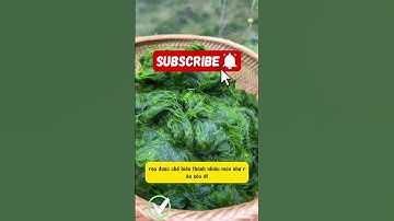 Rêu sông ngon bổ dưỡng món đặc sản Vân Nam