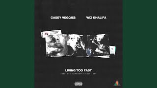 Living Too Fast