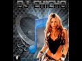 AMOR ES COMO EL NUESTRO - Professional Sound 15 Dj Chicho - LOS CHARROS