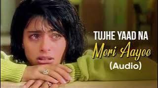 Tujhe Yaad Na Meri Aayee | KKHH | Udit & Alka | Use 🎧  | Reverb EQ | Original | MusicBeyondYours