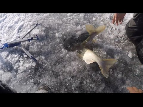 Lake Trout Ice Fishing Lake Champlain- New PB!