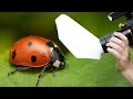 Pope Shield Macro Photography Diffuser Review