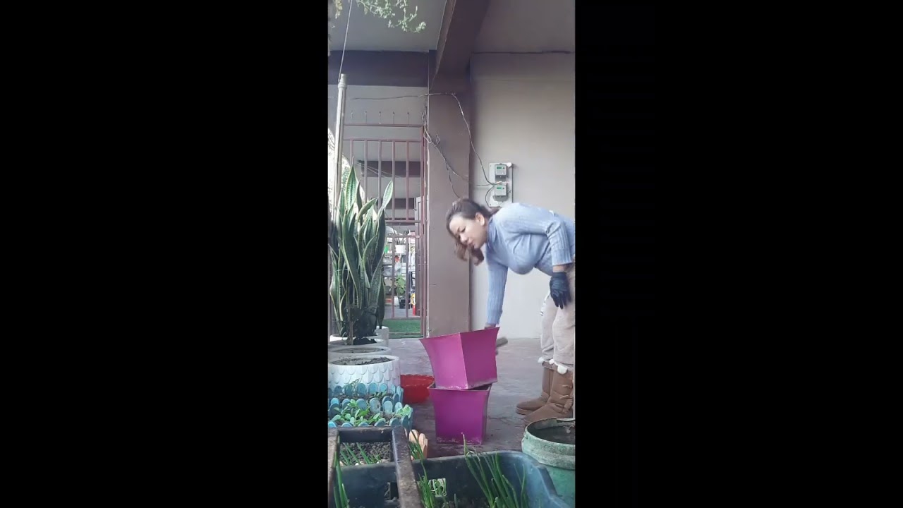 Pots a ka thlai leh rullei ve em2te. Thlai erawh a rem hun lai ania🤗❤🤍