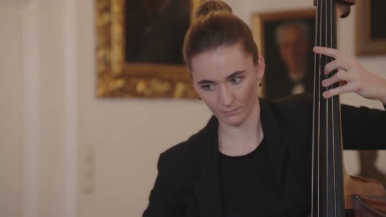 Vienna Philharmonic - Strauss in the Doghouse - Double Bass Quartet