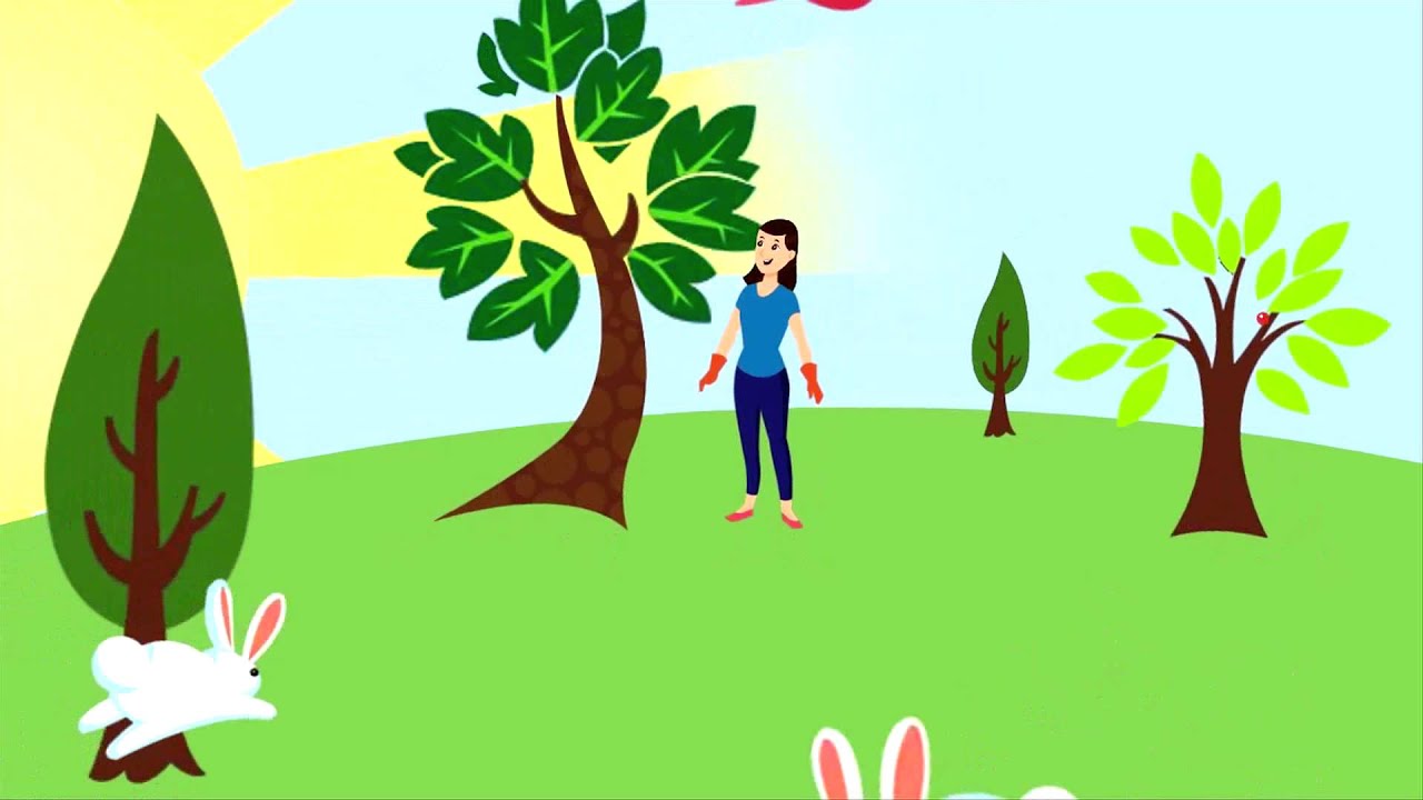 "Saving the World, One Tree at a Time" A Surprise Mother's Day Video Card from Swiss Miss PH