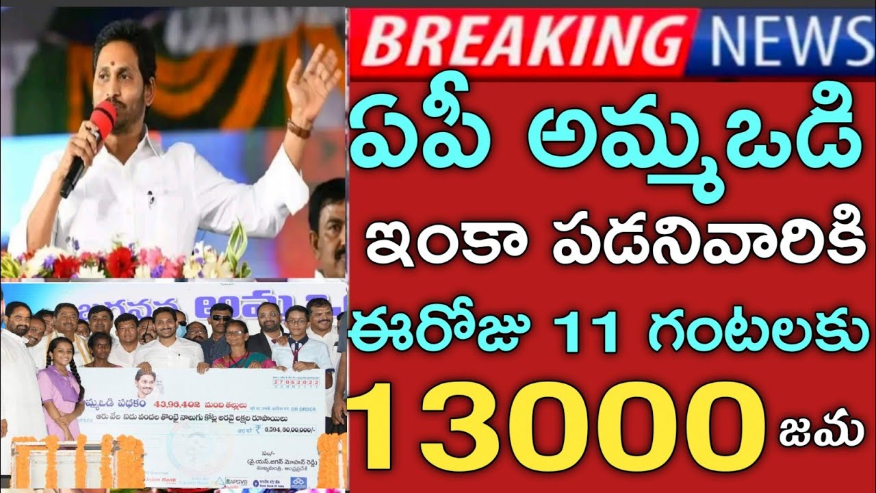 ammavodi amount released today|ammavodi payment status|ammavodi amount latest news|ammavodi 2022