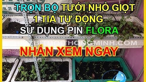 Giới thiệu bộ tưới tự động dùng pin tưới nhỏ giọt 1 tia FLORA thông minh
