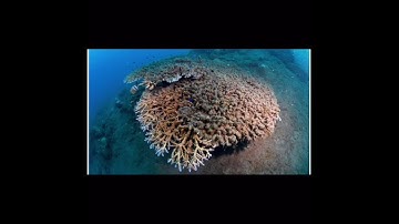 WHAT IS NUTRIENT RUNOFF? 🌎💧💙