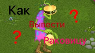 Как вывести и разместить РАКОВИЦУ ?