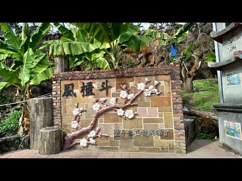 烏松崙 風櫃斗 賞梅花