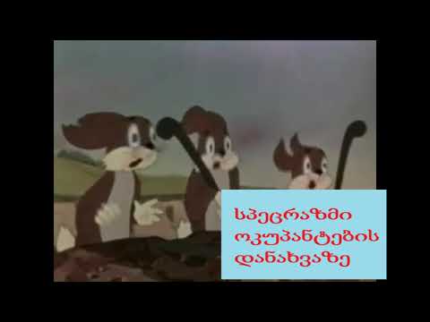 სპეცრაზმი აქციის დარბევის და რუსებთან \"ბრძოლის\" დროს