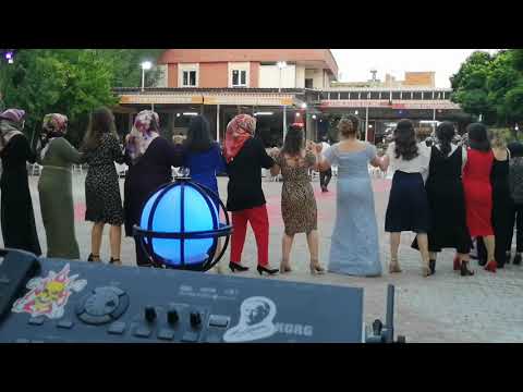 Grup EFTELYA | yorma beni dünya sallama potbori 🎻