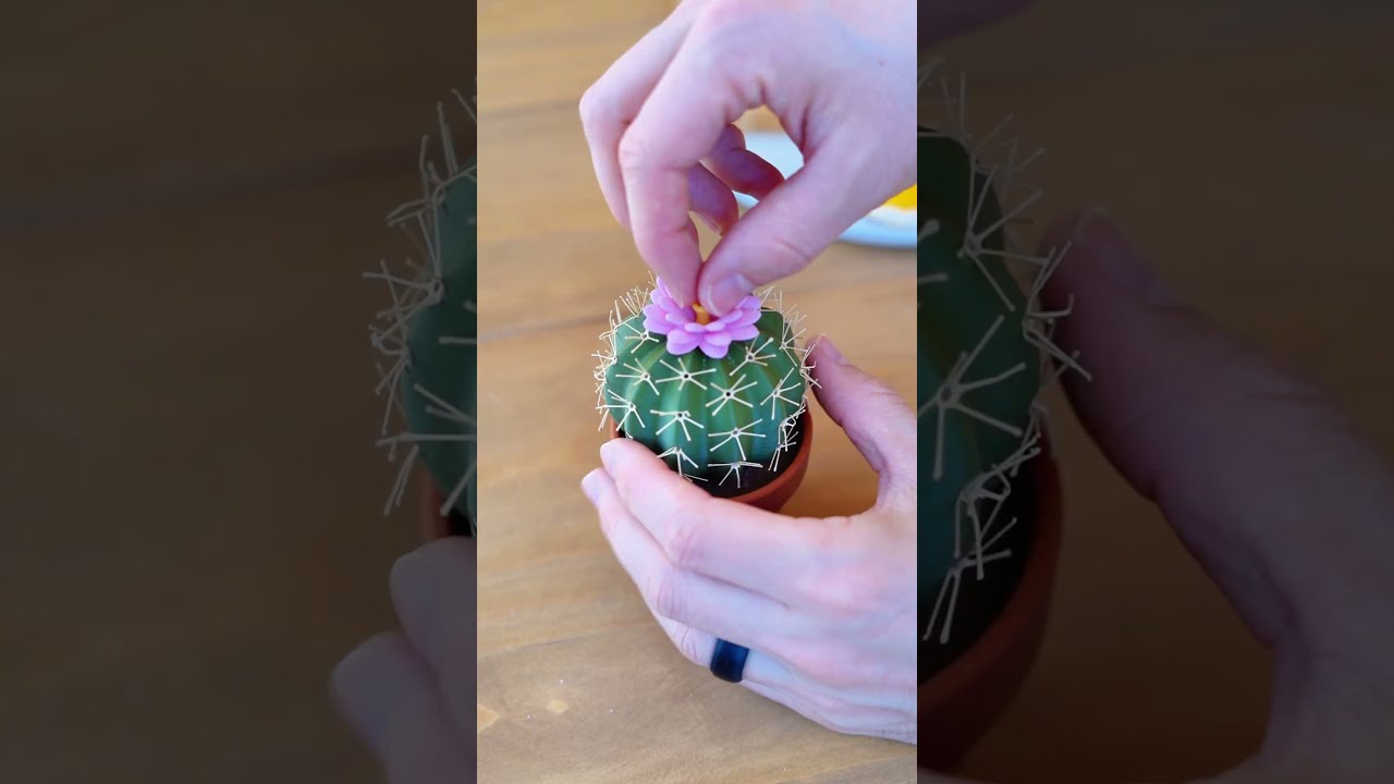 Can You Eat Cactus 