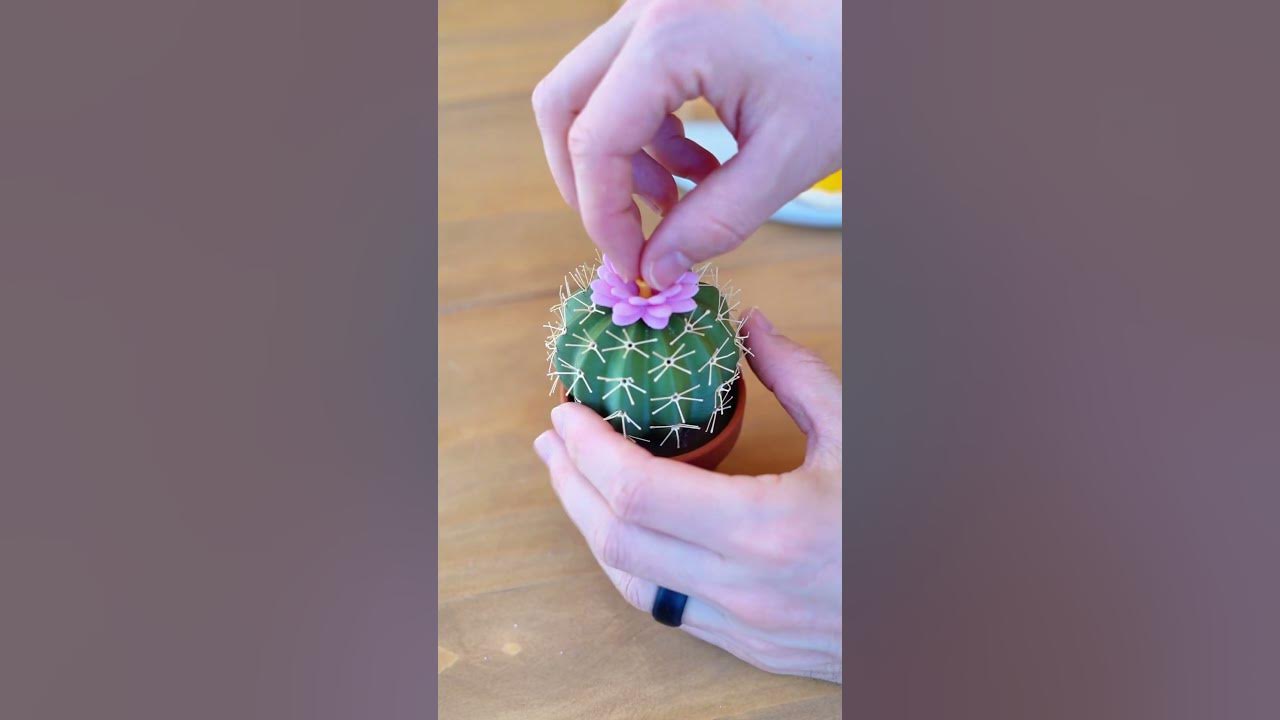 Can you eat Cactus?