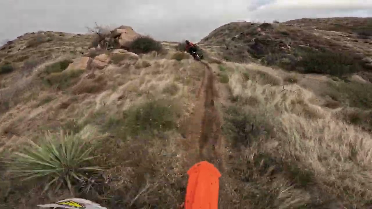 Epic single track ride Wildcat Wednesday