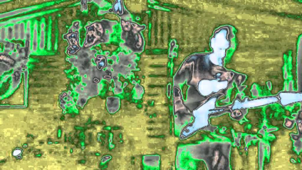 Abstrus Freecore - Freak