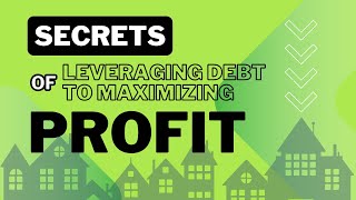 Profit Maximization Through Debt Strategies