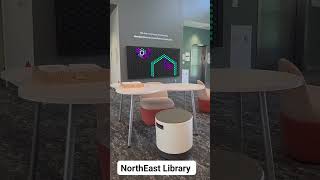 Go Visit The NE Library