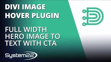Divi Theme Hover Effects Full Width Hero Image To Text With CTA 👍