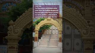 Top 5 unknown places in Vrindavan #india #shortstravel #religion #travel #ancient #nature #fact