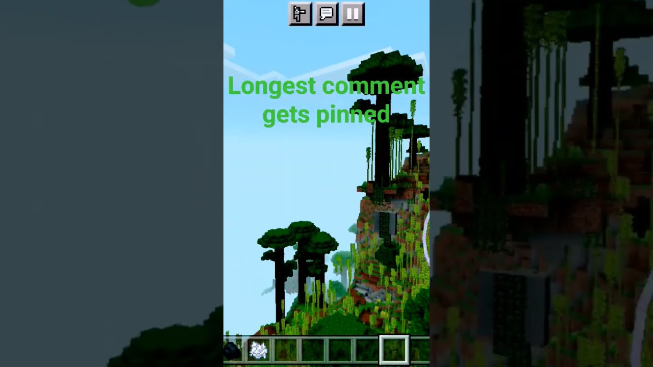 Lonngest comment gets pinned 