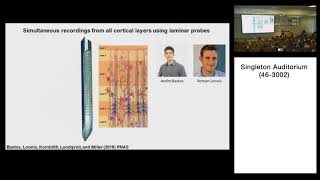 Working Memory 2.0 - Earl K. Miller