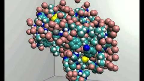 GPU-Based Ray-Casting of Quadratic Surfaces (EPBG 2006)