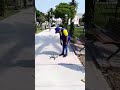 vex ecommerce - delivery de medicina con drone en Perú