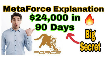 MetaWhale s3 and s6 Explanation (MetaForce)