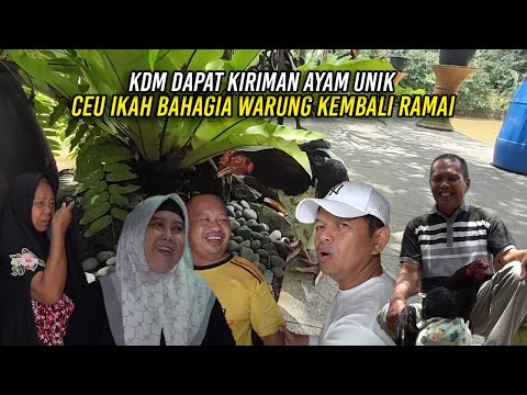 KDM DIKIRIM AYAM UNIK DARI SUMEDANG | CEU IKAH BAHAGIA WARUNGNYA KEMBALI RAMAI