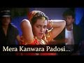 Mera kanwara padosi  shilpa shirodkar  anil kapoor  benaam badshah  bollywood item songs