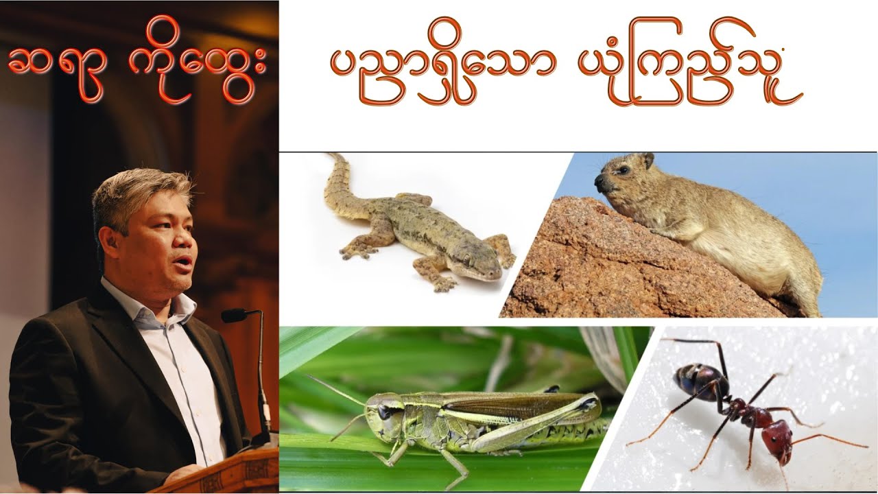 ပညာရှိသော ယုံကြည်သူ - Saya Ko Htwe