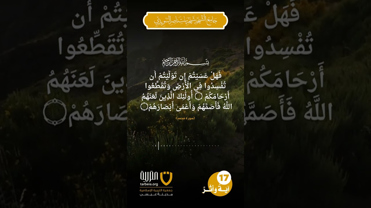 آية وأثر (17)