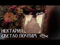 Сегодня день памяти святителя Нектария Эгинского чудотворца. Престольный праздник!